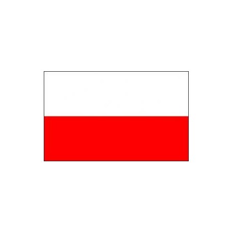 Steag Polonia