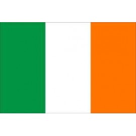 Steag Irlanda